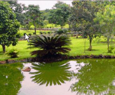 Park Golf Hostel Ipelandia Foz do Iguacu Exterior photo